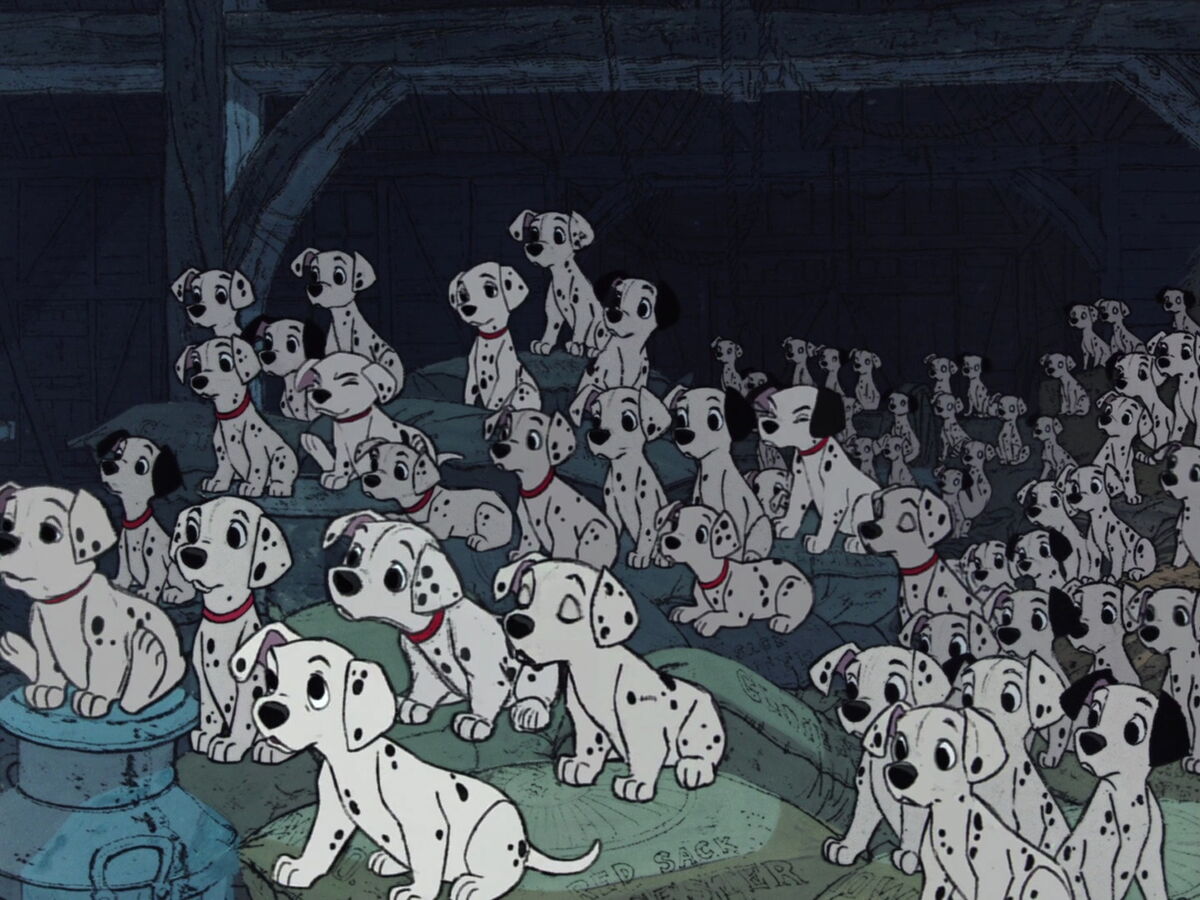 what kind of dogs were used in 101 dalmatians