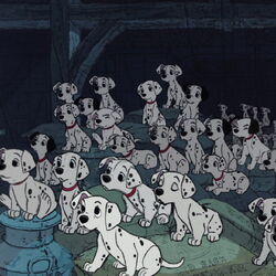 Girl dalmation in 101 dalmatians deals