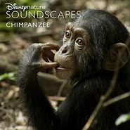 Disneynature Soundscapes Chimpanzee.jpg (35 KB) Disneynature Soundscapes: Chimpanzee