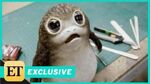 How the Porgs From 'Star Wars The Last Jedi' Were Created (Exclusive)