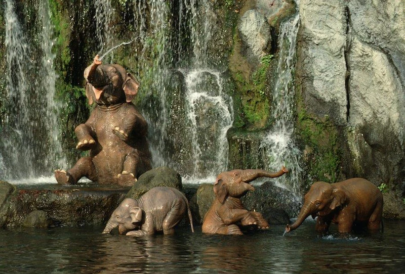 Elephants of the Elephant Bathing Pool