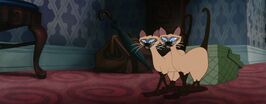 Lady-tramp-disneyscreencaps