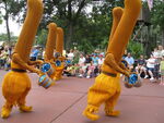 Magic Brooms Disneyland