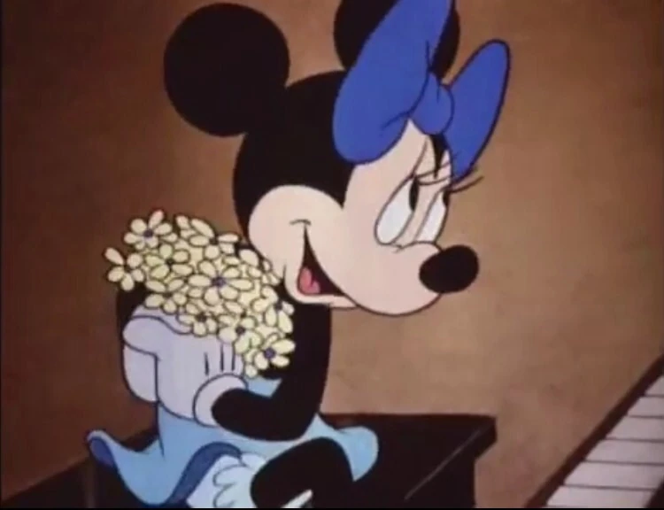 minnie mouse different outfits