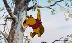 Pooh tries to the get the honey