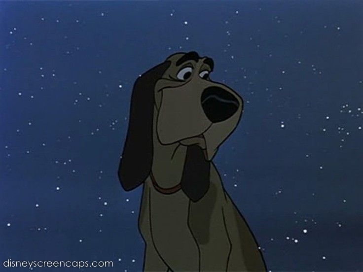 what kind of dog is kipper in 101 dalmatians