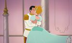 Cinderella & Prince Charming - Dreams Come True (7)