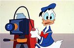 Donald in Mickey Mouse Works