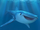 Destiny (Finding Dory)