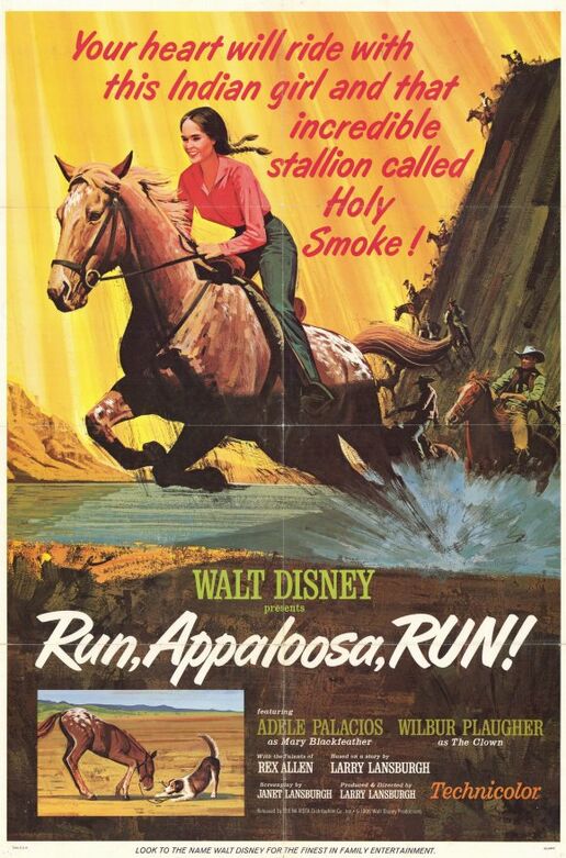 Run-appaloosa-run-movie-poster-1966-1020209159