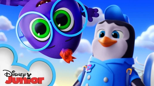 The Not-So Spooky Spider