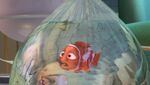 4kfindingnemo-animationscreencaps.com-5231