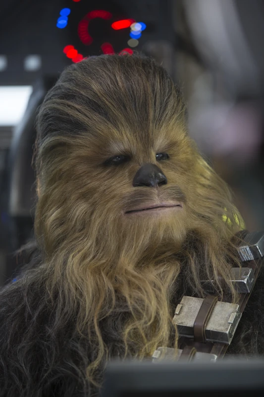 Chewbacca (2015)