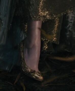 Cinderella s Golden Slippers Disney Wiki Fandom