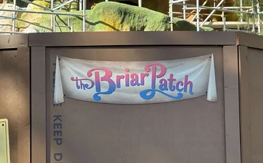 The Briar Patch sign