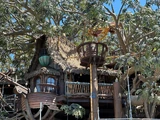 Adventureland Treehouse