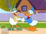 Donald and Goofy Daisy