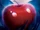 Las Manzanas Envenenadas (Enchanted)