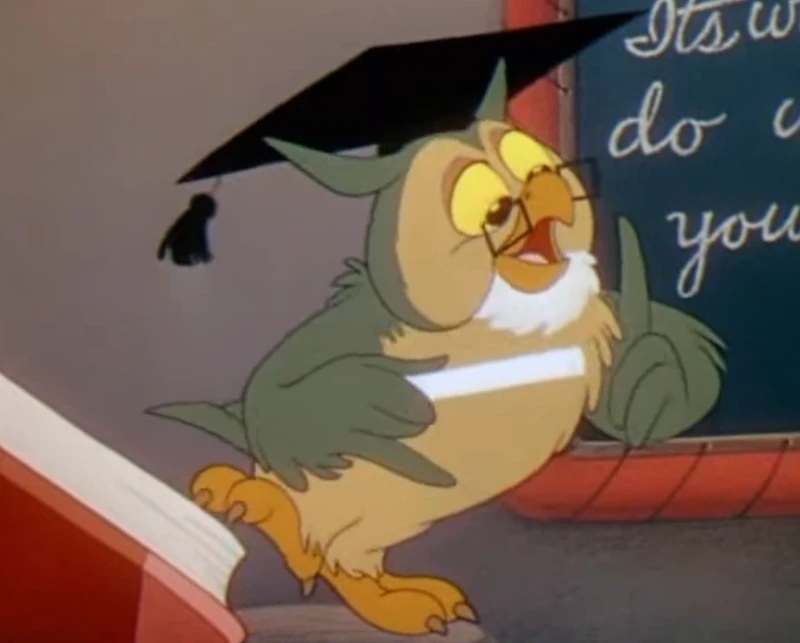 Wise Old Owl