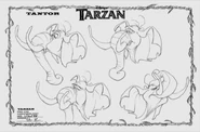 Tantor06