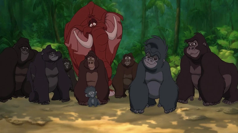 Jungle Animals