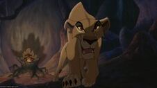 Zira 2