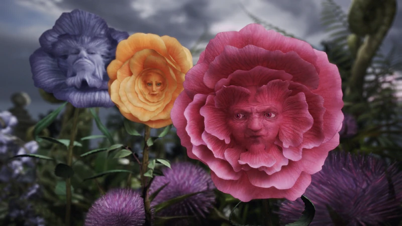 Tall Flowers