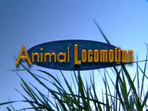 Animal Locomotion