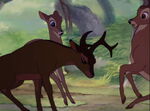 Ronno backing Bambi away from Faline