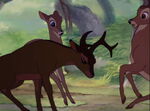 Ronno backing Bambi away from Faline.