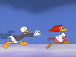 Donald chases the Aracuan Bird in a style of Road Runner and Wile E. Coyote.