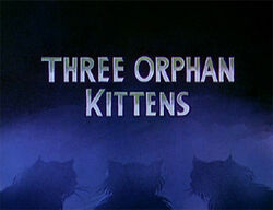 Ss-threeorphankittens