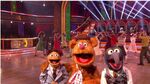 Fozzie with Gonzo and Walter in Dancing with the Stars