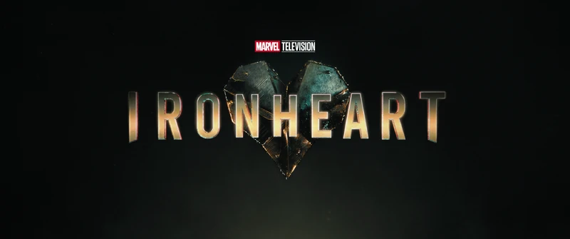 Black Panther: The Man Without Fear (2010 - 2011)