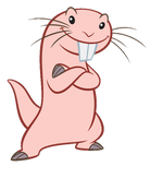 Rufus (Kim Possible)