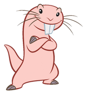 Rufus (Kim Possible)