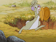 Rabbit on the cymbals.