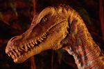 Velociraptor from DINOSAUR Ride