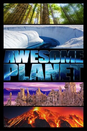 Awesome Planet Poster
