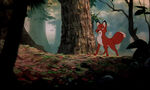 Fox-and-the-hound-disneyscreencaps.com-8067