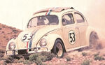 Herbie coming down hill