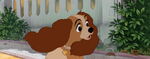 Lady-tramp-disneyscreencaps.com-2503