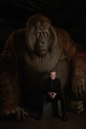 The-Jungle-Book-Special-Shoot KING-LOUIE.jpg (289 KB) Christopher Walken with King Louie for the 2016 live-action adaptation of The Jungle Book.