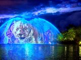 The Jungle Book: Alive with Magic