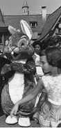 The oldest known costume of Thumper, as early as the 1960s, it appears to be his child form, as distunguished by his single buck tooth.