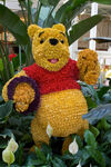 Winnie the Pooh topiary
