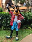 Goofy aulani