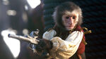 Jack the Monkey with pistol