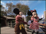 Mickey and Minnie at Discovery Island