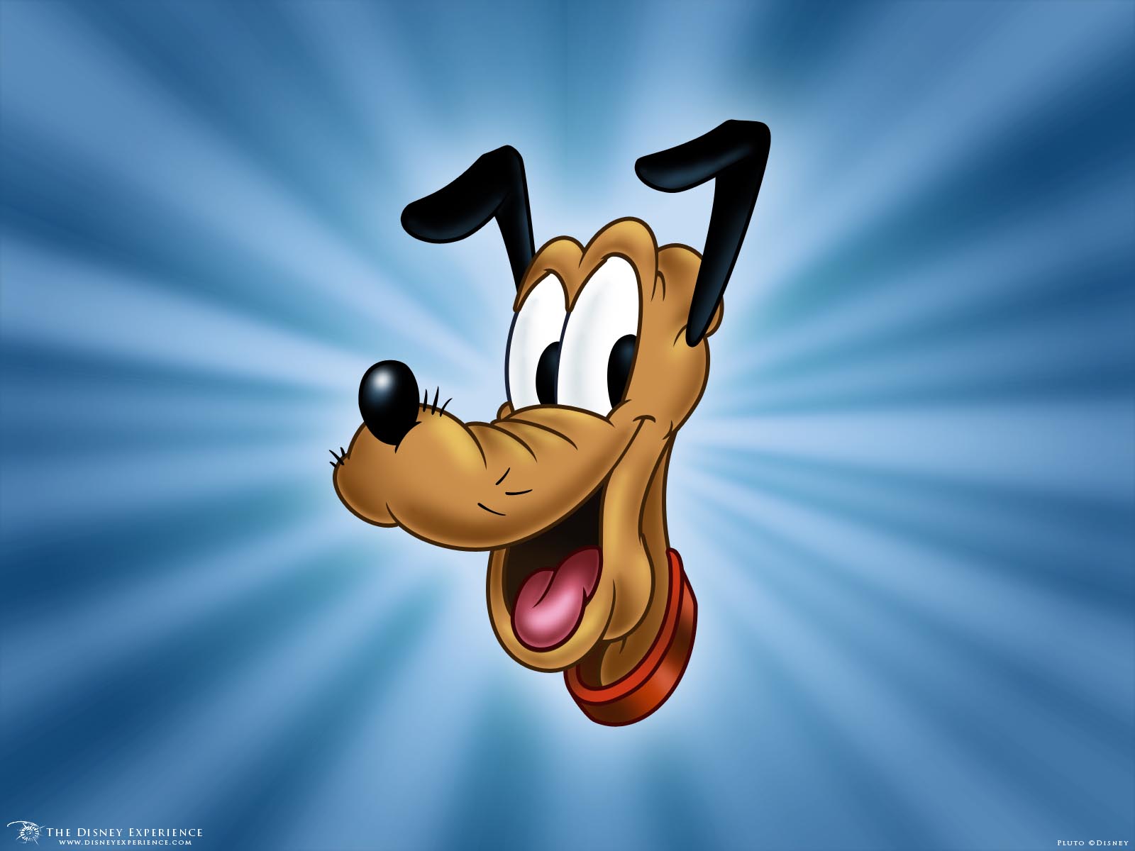 Pluto Filmography Disney Wiki Fandom